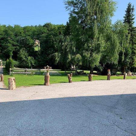 Landgasthof Steinmuehl Hofbauer Fruehstueckspension Und Campingplatz Waidhofen an der Ybbs Kültér fotó